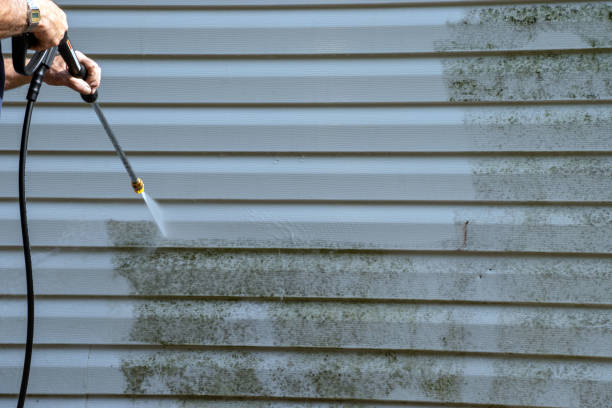 Trusted West Monroe, LA Siding Installation & Repair Experts